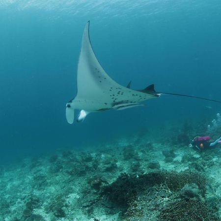Coriana Dive Resort Waisai Esterno foto