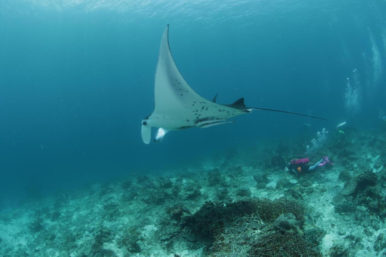 Coriana Dive Resort Waisai Esterno foto